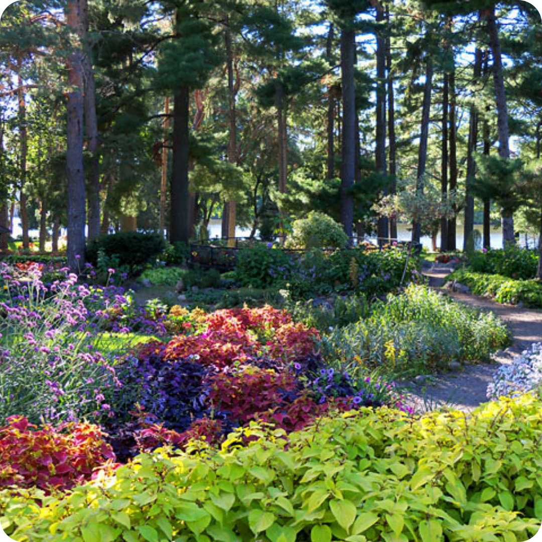 A vibrant garden with colorful flower beds surrounded by tall trees, featuring a pathway and a glimpse of water in the background.